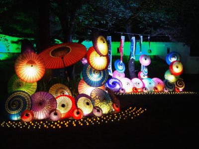 行田花手水week「希望の光」行田八幡神社や忍城址を彩る 月に1度のライトアップ☆彡