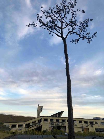 東日本大震災を辿る旅【気仙沼・陸前高田】⑥（旧・下宿定住促進住宅／高田松原津波復興祈念公園）