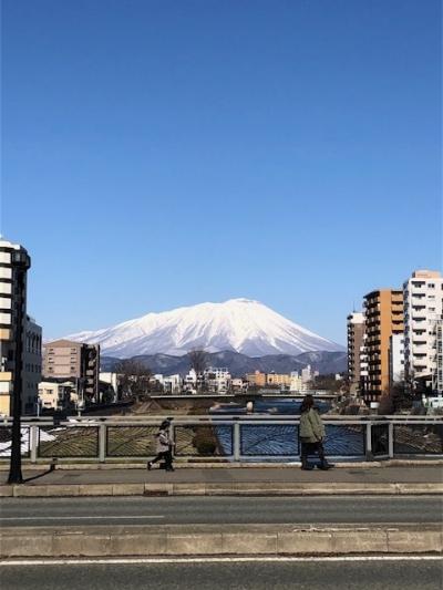 「鉄道開業150年記念 ＪＲ東日本パス」で行く岩手3日間　1日目盛岡篇