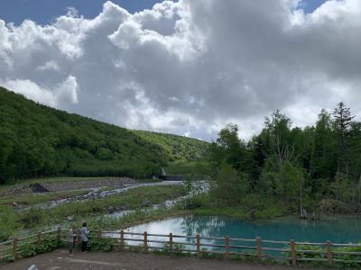 日本の四つの端っこを踏破する旅。美瑛と富良野