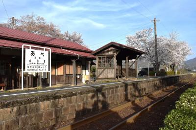 ２つの玄関がある若桜鉄道安部駅～春のホームを彩る寅さん記念植樹の桜～（鳥取）