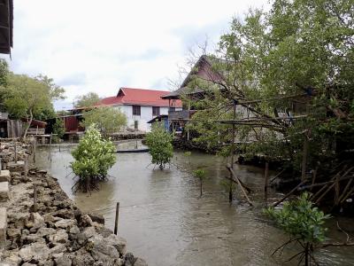 タイさんのインドネシアの旅41日目(2023/5/30)ケレドゥパ島へ ワカトビ国立公園 スラウエシ