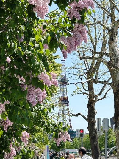 2023.05　大通公園「ライラックまつり」と前田森林公園の「藤」