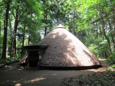 松戸で自然と歴史に触れた半日