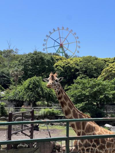 初夏の東伊豆♪温泉＆動物とふれあう1泊2日（後編）