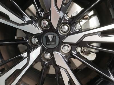 九州で、カツオだ。