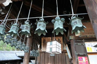 春のいざいざ奈良旅♪　Vol.289　奈良の美しい朝散歩：東大寺二月堂♪