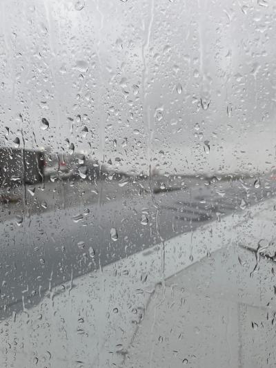 屋久島旅行 1日目