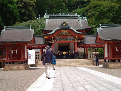 ツアーを利用して世界三大花木「ジャカランダ」の花を見に行く①～霧島神宮・山之口あじさい公園～