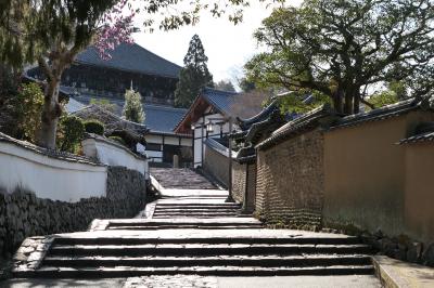 春のいざいざ奈良旅♪　Vol.296　奈良の美しい朝散歩：東大寺二月堂裏参道♪
