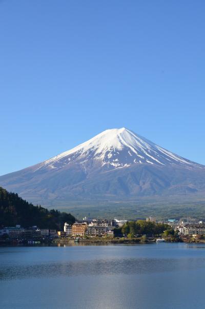 外国人ツアー日本人ツアーで活況を呈する富士五湖周辺