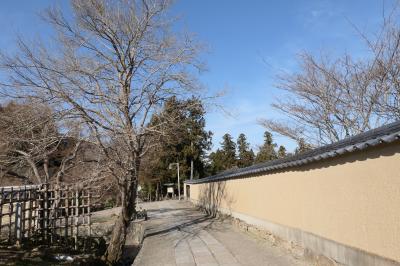 春のいざいざ奈良旅♪　Vol.298　奈良の美しい朝散歩：東大寺大湯屋♪