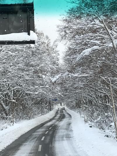 温泉巡り１　ー　雪の中、青森の酸ヶ湯温泉に行こう