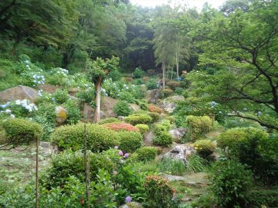 定林寺のあじさいと磊庭・2023 + 頑張れ！　道の駅おおむた 花ぷらす館