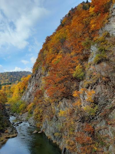 北海道紅葉巡り５日間