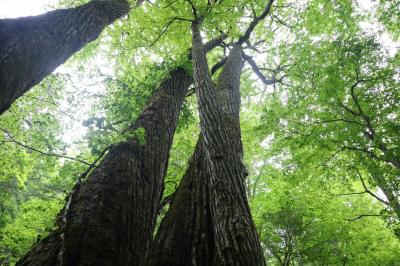 秘町、発見！　北海道置戸町を深堀り　定番から穴場まで