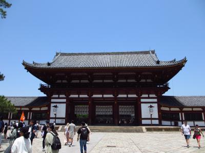 奈良、京都に行きました