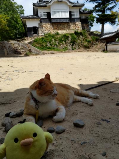 岡山県 高梁市・岡山市を たびするトリ