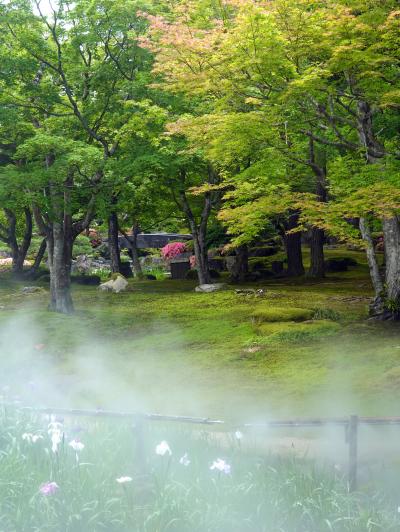 出雲の箱庭・由志園散策