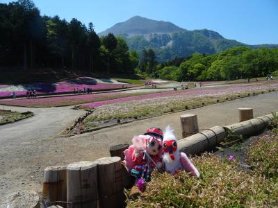 新時代・はじまりの旅　埼玉を探検するヨ！　秩父 → 池袋編 #76