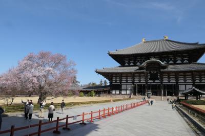 春のいざいざ奈良旅♪　Vol.310　奈良の美しい朝散歩：春の美しい「東大寺」♪