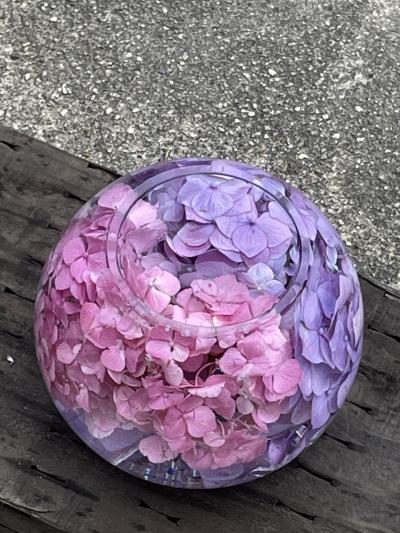 奈良公園ゆったり街歩き！…フランス料理と紫陽花と！