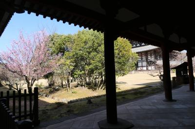 春のいざいざ奈良旅♪　Vol.312　奈良の美しい朝散歩：春の美しい「東大寺」♪