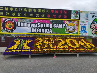 沖縄 阪神タイガース宜野座キャンプ見学旅2日目