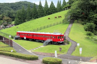 物価高に負けないっ！無料で楽しめる鞍ヶ池公園、無料とは思えない充実ぶりでした！