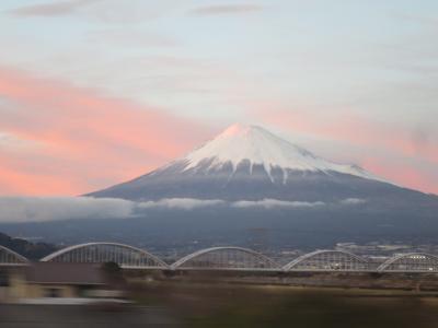 2023年3月 奈良2泊3日の旅＜３日め＞樫舎→ノモケマナ→ラ・テラス