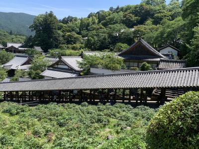 花の御寺　奈良長谷寺