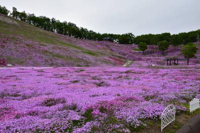 世界遺産知床半島（でっかい道）