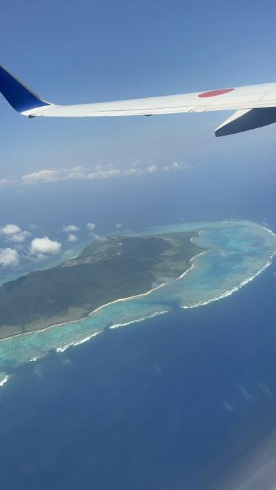 ANAセールで八重山諸島ひとり旅♪黒島編　２日切上げ帰宅～