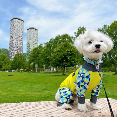 トマム 雲海テラスへ行くはずが...ファームで愛犬と戯れる