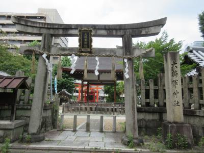 京の紫陽花と花菖蒲(1)