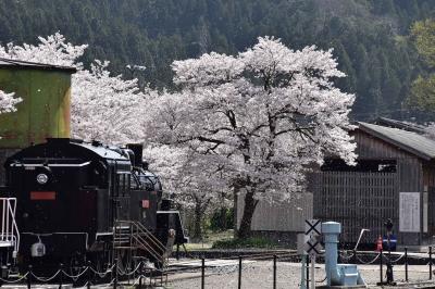 桜吹雪の若桜駅に残る昭和の鉄道風景2021～SL、機関車、転車台、駅舎～（鳥取）