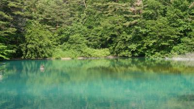 初夏の裏磐梯・五色沼