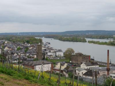 心の安らぎ旅行（2023年 ４年ぶりのドイツ♪Rüdesheim リューデスハイム Rhein ライン川 Part28)