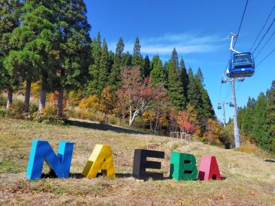 紅葉のドラゴンドラに乗りたくて！ 猿ケ京温泉→苗場プリンス→たくみの里を巡る旅！