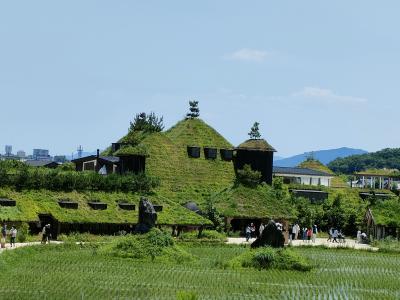 琵琶湖を見ながら！！もりやま芦刈園・藤ヶ崎竜神・ラコリーナ近江八幡へ！