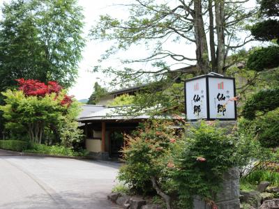 老神温泉　仙郷で寛ぐはずが寛げない旅に…