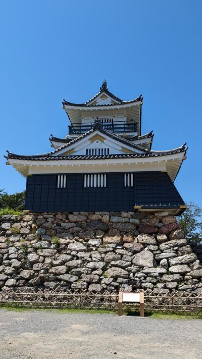 母米寿のお祝い旅行（前半）・浜松城とホテル