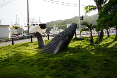 今年も行ってきました小笠原・母島