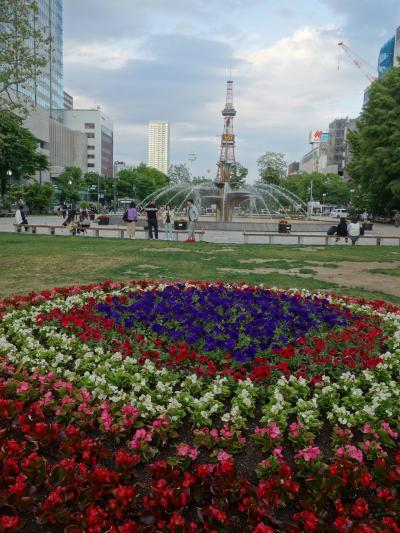 ひさしぶりの大通公園。ビルが増えたようにも見えますが。テレビ塔は相変らずですね。