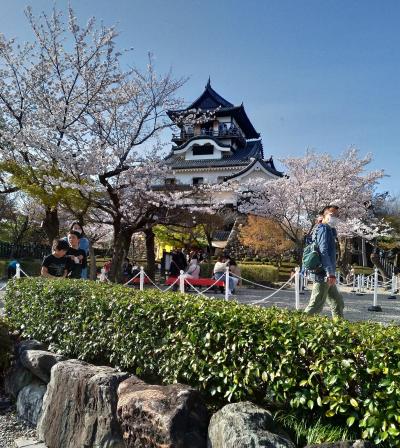 名古屋ひとり旅その3　犬山城