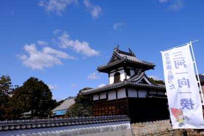 「徳川家康ゆかりの安祥城址と本證寺＆大河ドラマ館」夫婦の旅