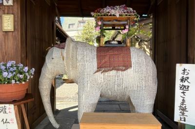 いい古都チケットで花まつり白象めぐり～壬生寺・西本願寺・当麻寺編～