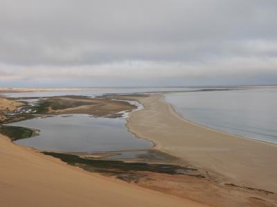 ナミビア周遊(4/6) サンドイッチハーバー