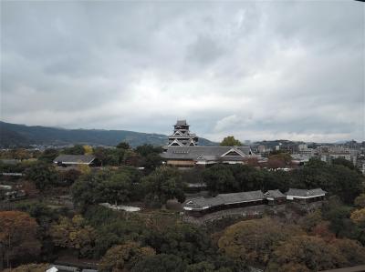 九州一筆書きの旅　6日目午後　熊本城・宇土櫓（重文）の損傷は大きかった、太平燕と活剣先烏賊は旨い