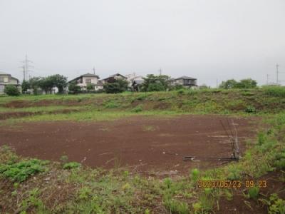 流山市の市野谷・上野牧野馬土手・市野谷宮後遺跡